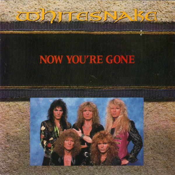 Now you're gone | Whitesnake | stevevai.it