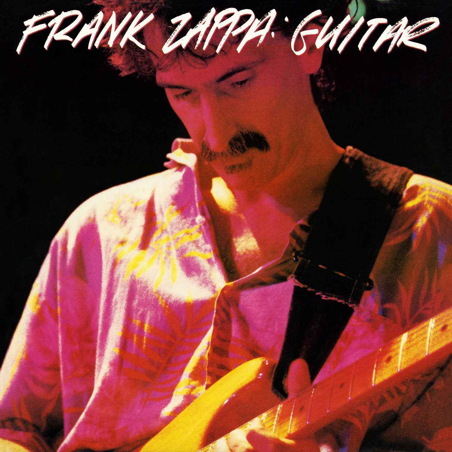 stevevai.it - Frank Zappa - Guitar