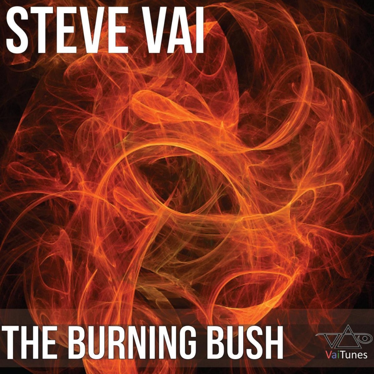 stevevai.it - The burning bush